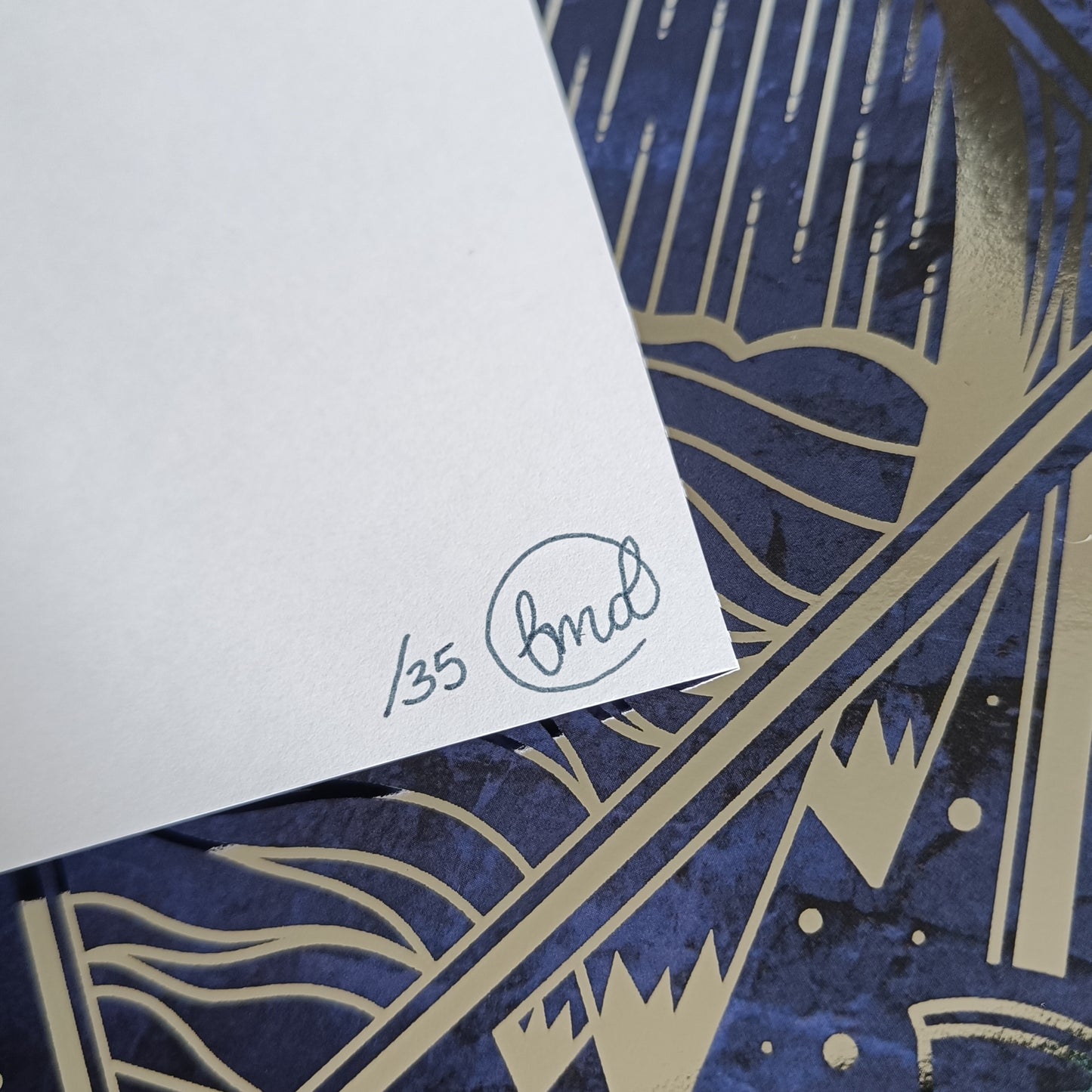 Back of the A5 print showing it is blank white, with hand signed and hand numbered in a dark blue ink. Background of photograph is the same print with silver foil.